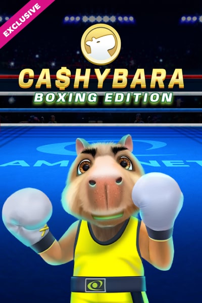 Cashybara Boxing Edition